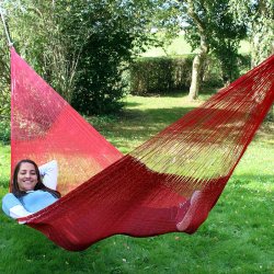 Pink mexicansk hngekje i net