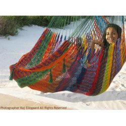 Mexicansk hngestol i unikt farvemix