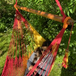 Tequila Hngestol i Net - klassiske farver med Gul Orange Rd