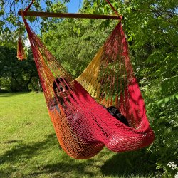 Tequila Hngestol i Net - klassiske farver med Gul Orange Rd