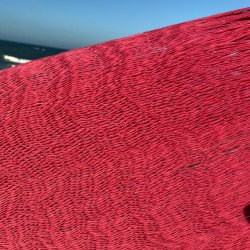 Pink mexicansk hngekje i net