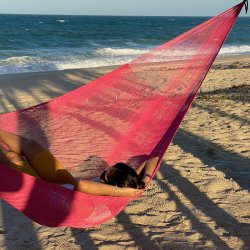 Pink mexicansk hngekje i net