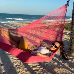 Pink mexicansk hngekje i net